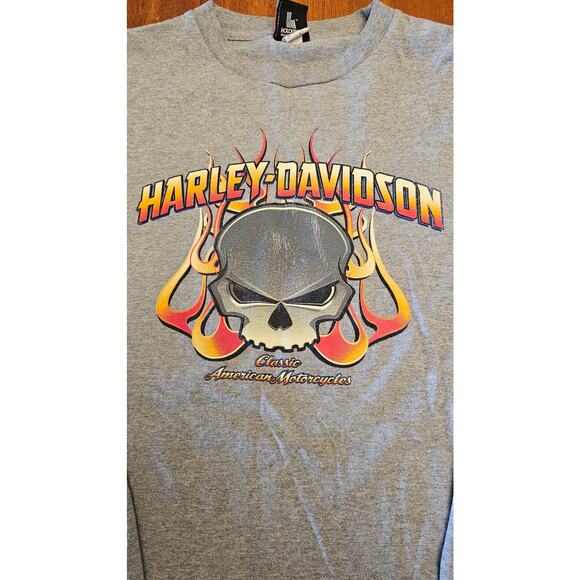 Y2K Harley Davidson skull with flames long sleeve size large shirt Lincoln, ND - Picture 2 of 3